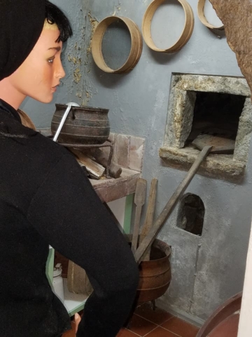 School Field Trip to St. Miguel, Azores