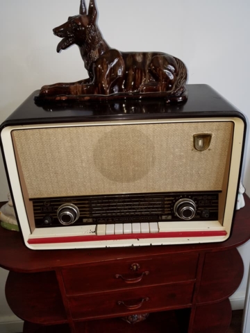 School Field Trip to St. Miguel, Azores