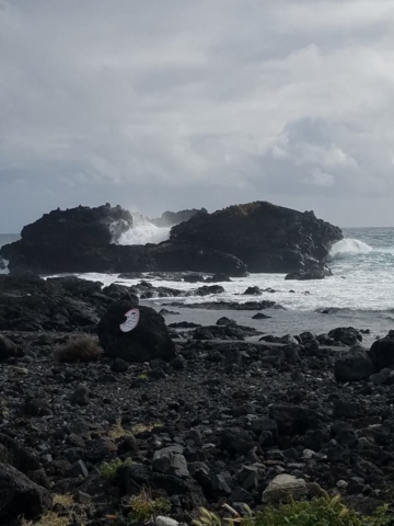 School Field Trip to St. Miguel, Azores