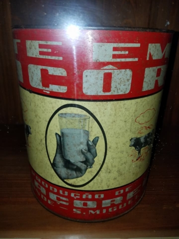 School Field Trip to St. Miguel, Azores