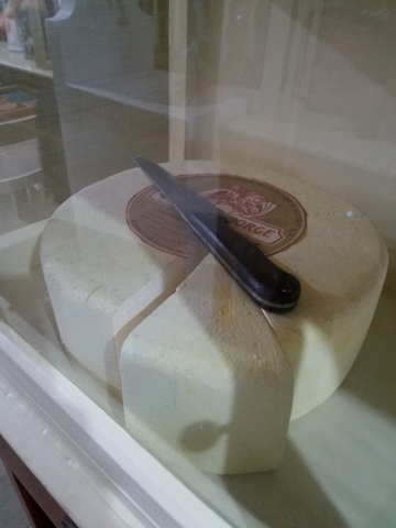 School Field Trip to St. Miguel, Azores