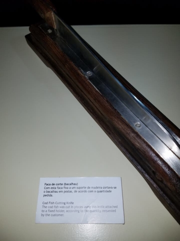 School Field Trip to St. Miguel, Azores