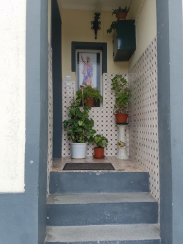 School Field Trip to St. Miguel, Azores