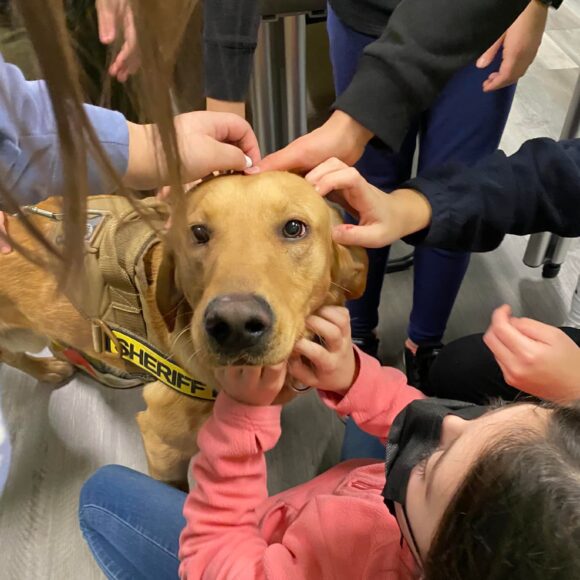 Visit from Bristol County Sheriff’s COVID-19 detector dogs