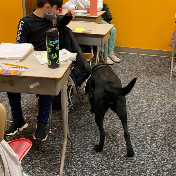 Visit from Bristol County Sheriff’s COVID-19 detector dogs