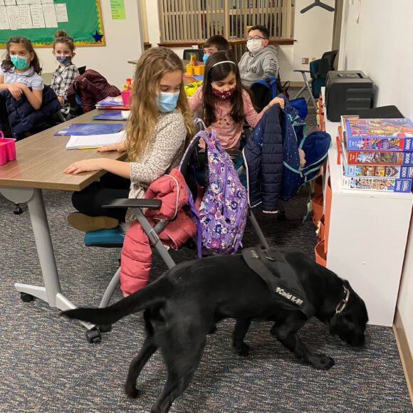 Visit from Bristol County Sheriff’s COVID-19 detector dogs