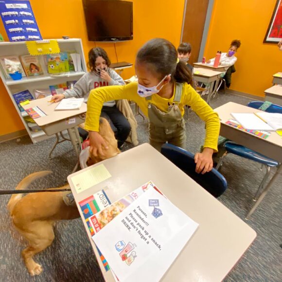 Visit from Bristol County Sheriff’s COVID-19 detector dogs