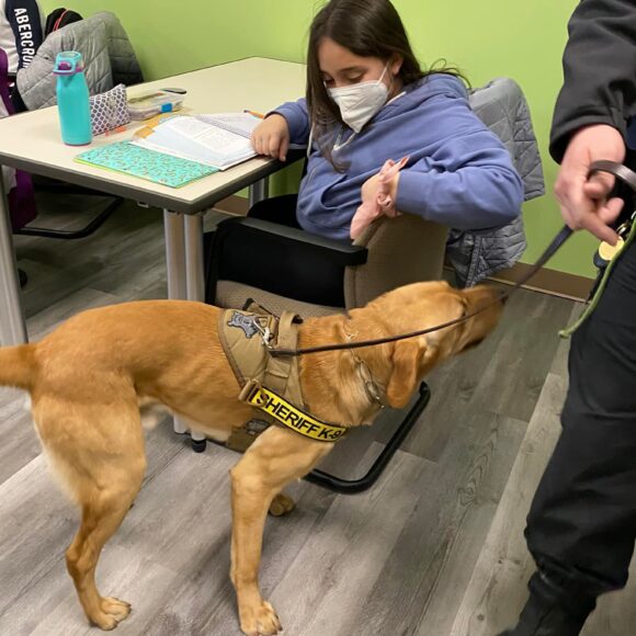 Visit from Bristol County Sheriff’s COVID-19 detector dogs