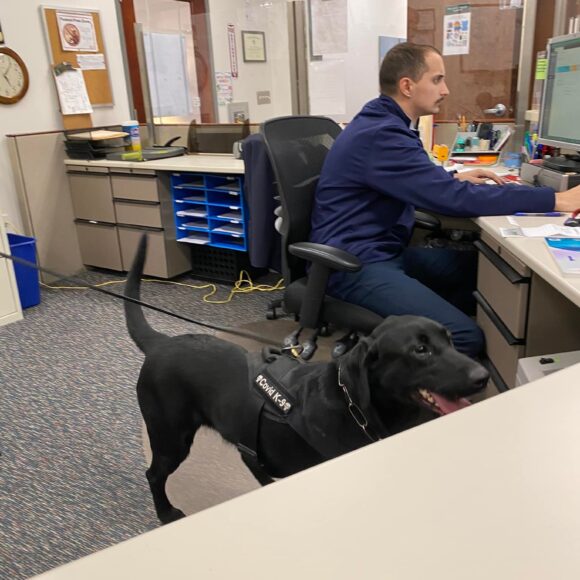 Visit from Bristol County Sheriff’s COVID-19 detector dogs